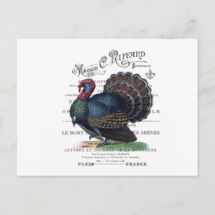 modern vintage Turkey Postcard