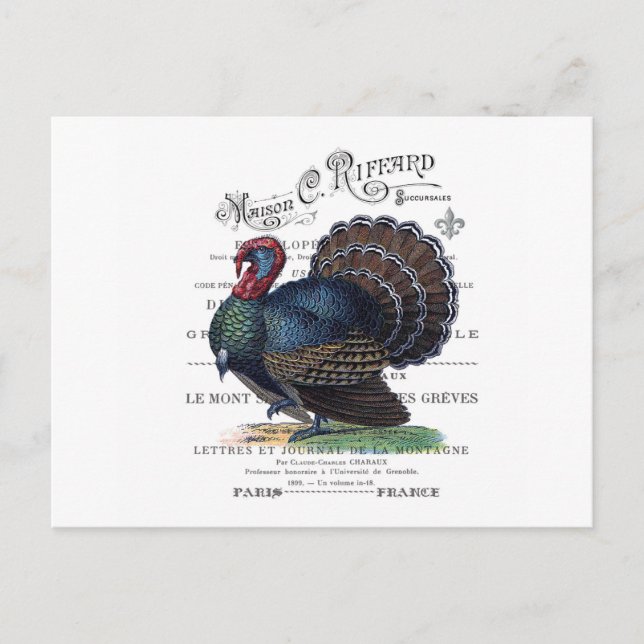 modern vintage Turkey Postcard (Front)