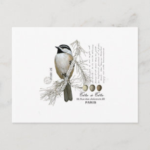 modern vintage winter woodland chickadee postcard