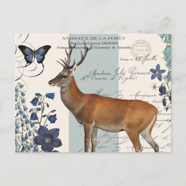 modern vintage woodland deer postcard (Front)