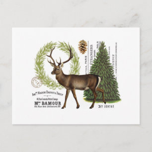 modern vintage woodland winter deer postcard