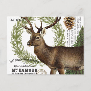 modern vintage woodland winter deer postcard