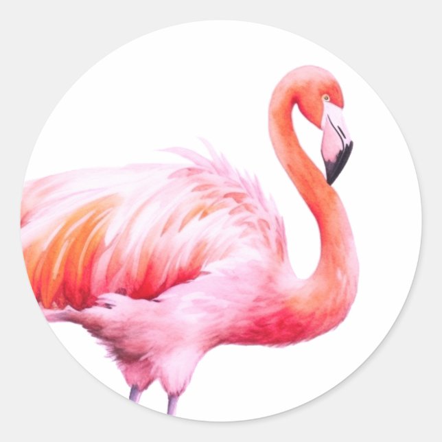Modern Watercolor Pink Flamingo  Classic Round Sticker (Front)