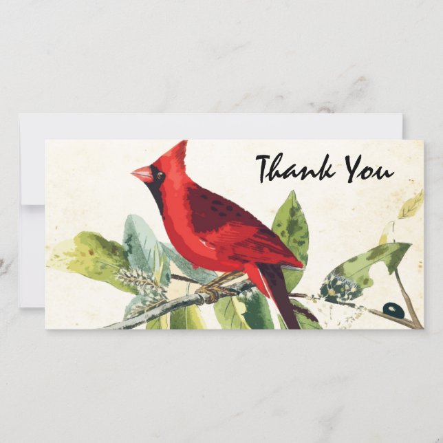 Modern Watercolor Red Cardinal Funeral Thank you (Front)