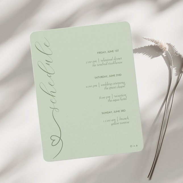 Modern Wedding | Schedule & Details | Light Sage Enclosure Card (Creator Uploaded)