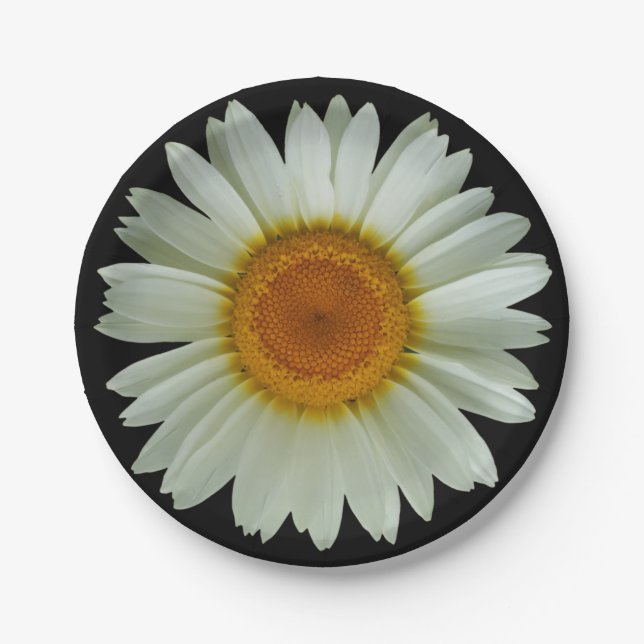 Modern White Daisy on Black Paper Plate (Front)