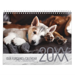 Modern White Marble - Custom Two-Page Pet Photo Calendar