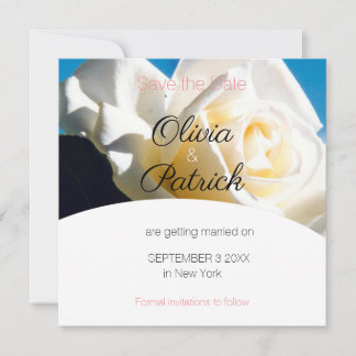 Modern White Rose Wedding Save the Date