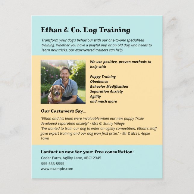 Modern Yellow Blue Dog Training Pet Services Flyer (Front)