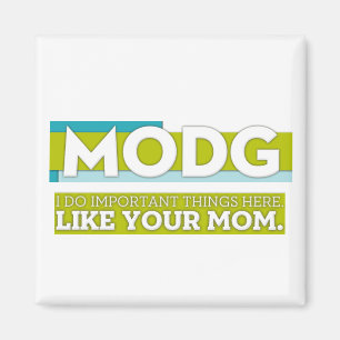 MODG magnet