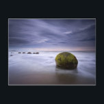 Moeraki Boulders Sunrise Seascape Postcard<br><div class="desc">Moeraki boulders sunrise seascape</div>