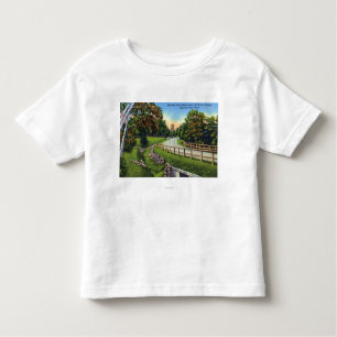 Mohawk Trail Approaching Shelburne Summit Toddler T-Shirt