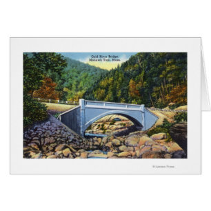 Mohawk Trail View of Cold River Bridge