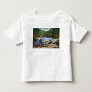 Mohawk Trail View of Cold River Bridge Toddler T-Shirt