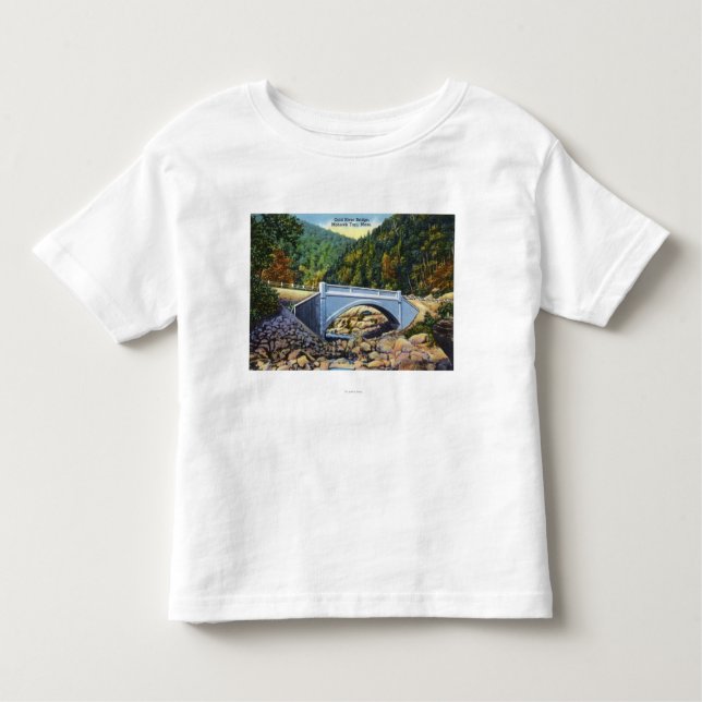 Mohawk Trail View of Cold River Bridge Toddler T-Shirt (Front)