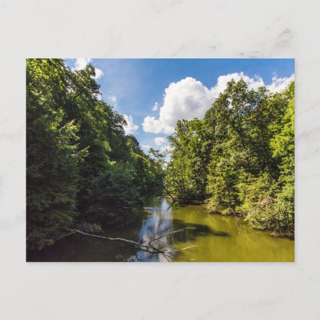 Mohican River in Summer, Mohican State Park, Ohio Postcard (Front)