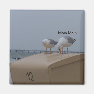 Moin Magnet