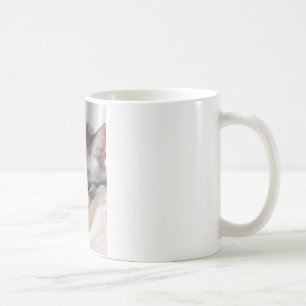 Moira (cat) Photo Coffee Mug