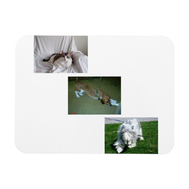 Moira, Riley, and Tyler Photo Collage Magnet (Horizontal)