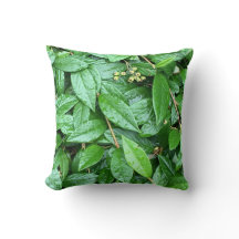 moist wet green cushion