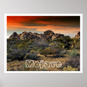 Mojave Desert at Sunset Poster