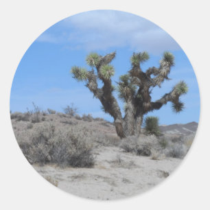 Mojave Desert Joshua Tree Classic Round Sticker