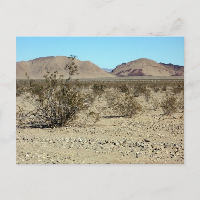 Mojave Desert scene 02 Postcard (Front)