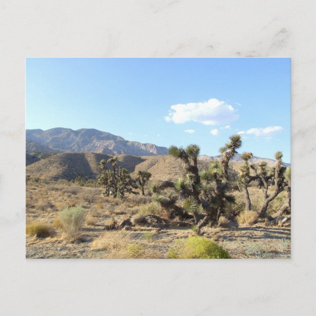 Mojave Desert scene 06 Postcard (Front)