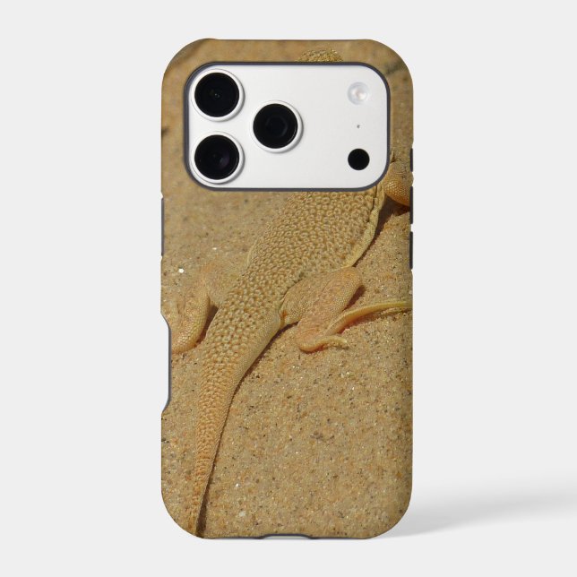 Mojave Fringe-Toed Lizard (Back)
