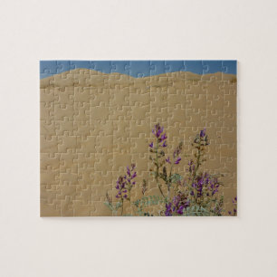 Mojave Indigo Bush and Kelso Dunes Jigsaw Puzzle