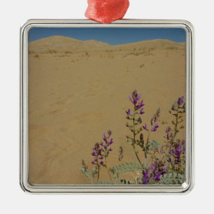 Mojave Indigo Bush and Kelso Dunes Metal Ornament