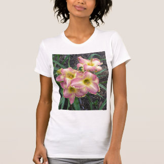 Mojave Morning on a T T-Shirt