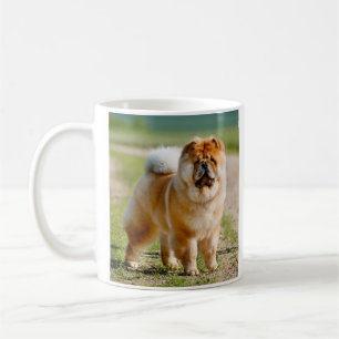 Mojo Chow mug