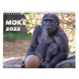 Moke 2022 Calendar
