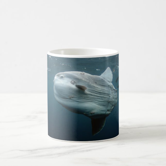Mola Mola Coffee Mug (Center)