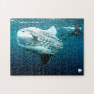 Mola Mola Jigsaw Puzzle