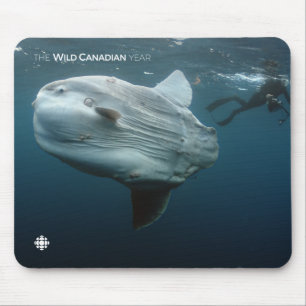 Mola Mola Mouse Pad