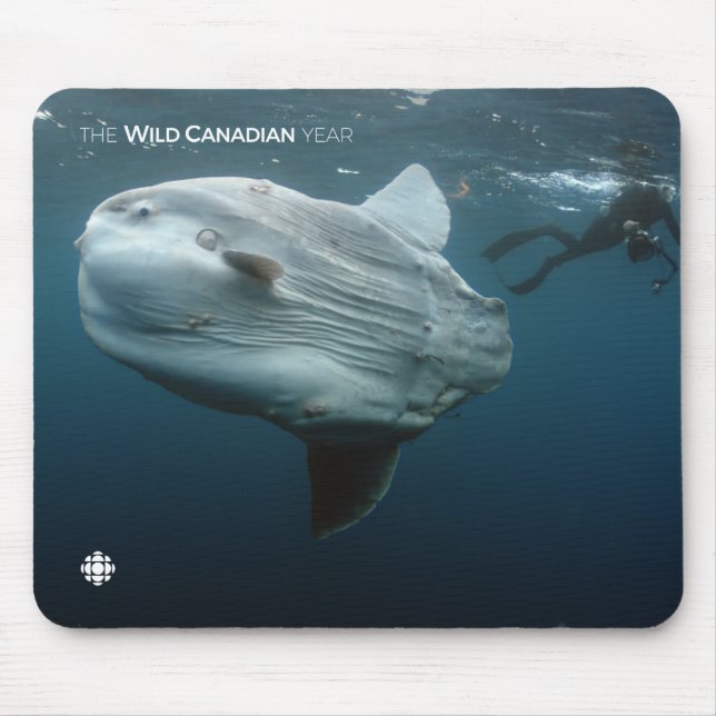 Mola Mola Mouse Pad (Front)