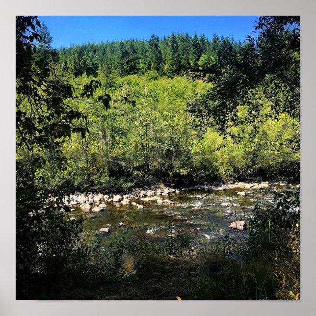 Molalla River, OR Poster (Front)