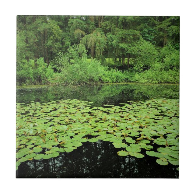 Molalla River State Park, Canby, Oregon Ceramic Tile (Front)