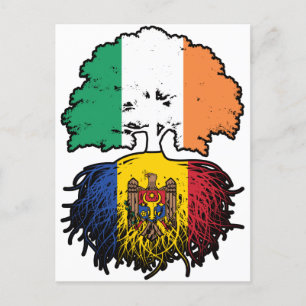 Moldava Moldavan Irish Ireland Tree Roots Flag Postcard