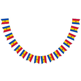 Moldova Flag