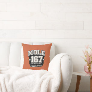 Mole 167 Antonelliana - Sabauda Majesty Grunge Edi Cushion