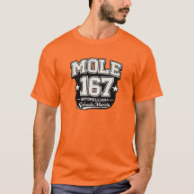Mole 167 Antonelliana - Sabauda Majesty Grunge Edi