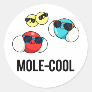 Mole-Cool Funny Molecule Pun  Classic Round Sticker