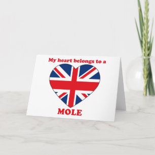 Mole Holiday Card