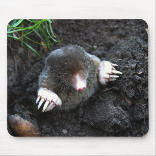 Mole Mouse Pad