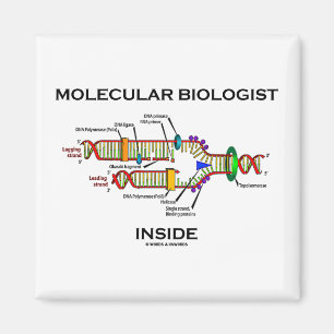 Molecular Biologist Inside (DNA Replication) Magnet