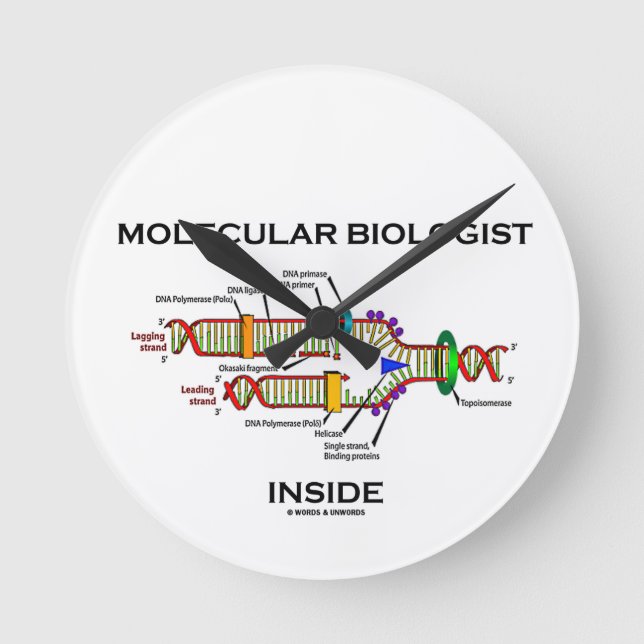 Molecular Biologist Inside (DNA Replication) Round Clock (Front)
