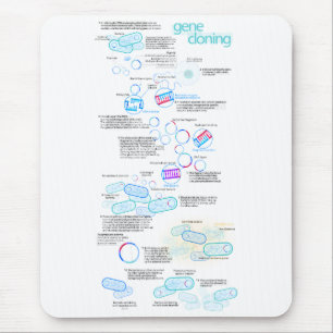 Molecular cloning using bacteria and plasmids mouse pad